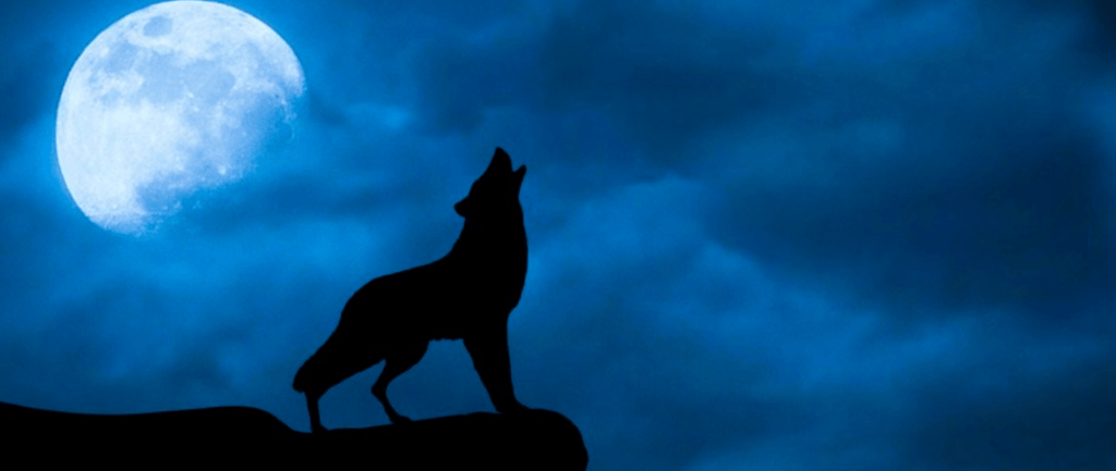 Howling at the moons of Mars&nbsp;!